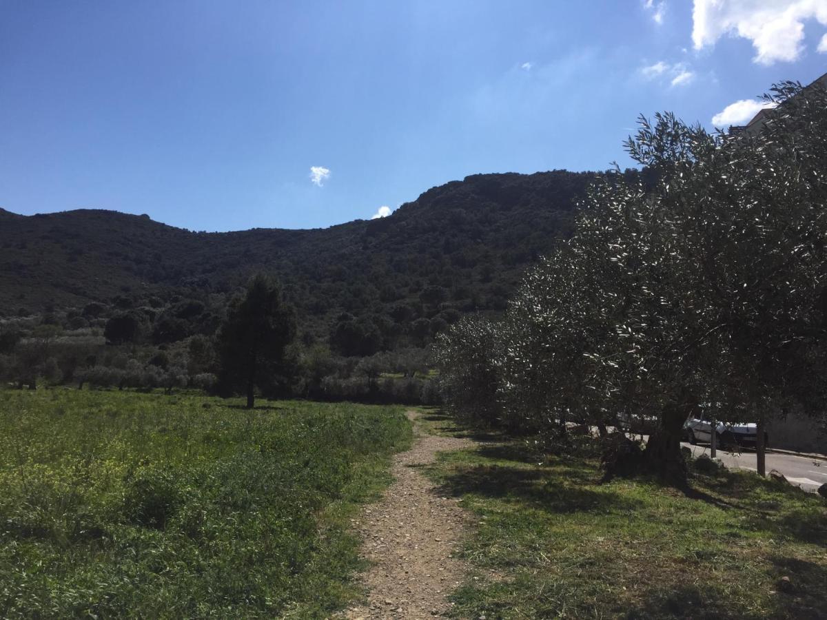 Appartement Standing 58M Plage A 3Mn En Voiture Roses Dış mekan fotoğraf