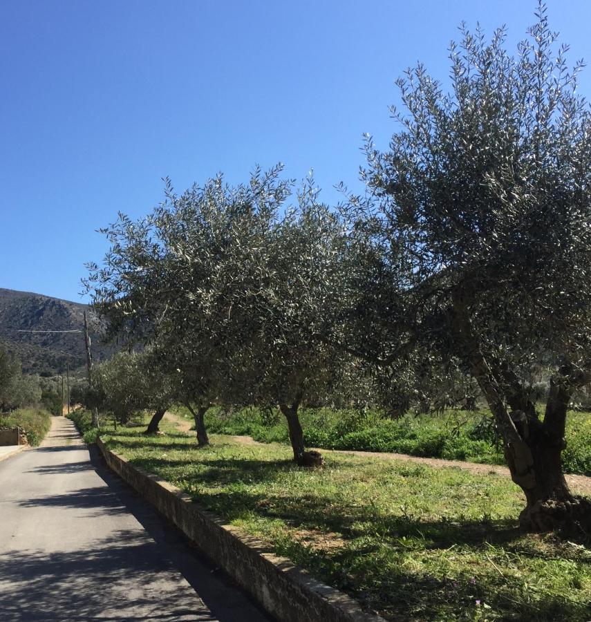 Appartement Standing 58M Plage A 3Mn En Voiture Roses Dış mekan fotoğraf